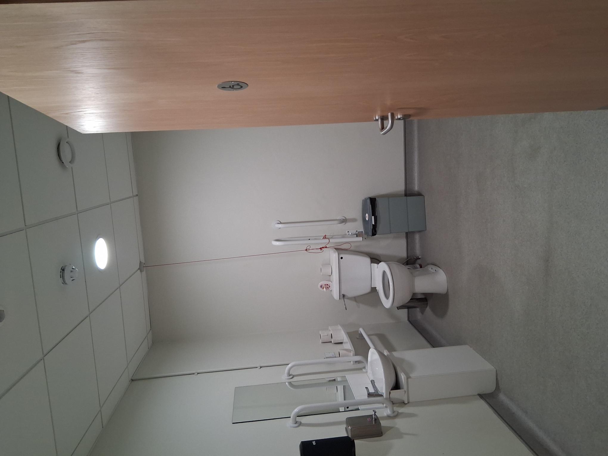 Wheelchair accessible toilet opening inwards with door handle on the left Accessible Toilet