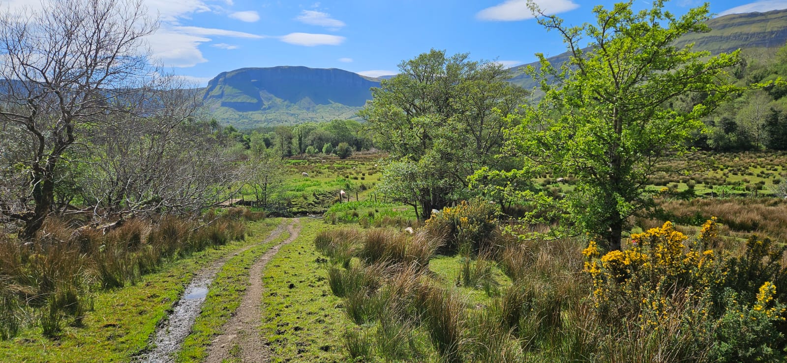 North-Leitrim-landscape-c.-Urszula-Kacperek