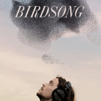 birdsong-2 birdsong-2