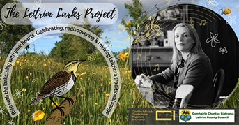 The-Leitrim-Larks-Project