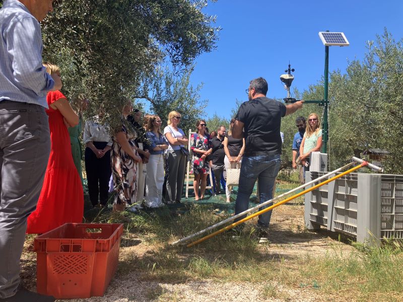 Digital-Rural- Digital-Rural-